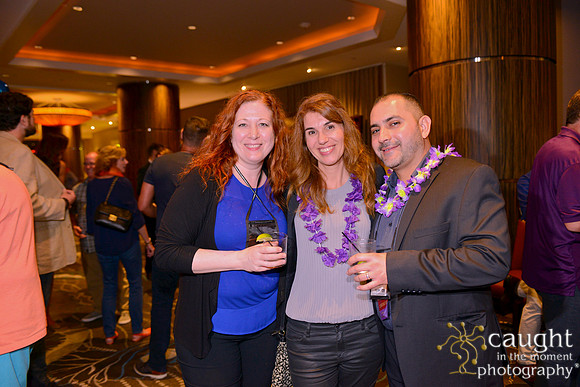 548 IFSA Conference 2017 Long Beach