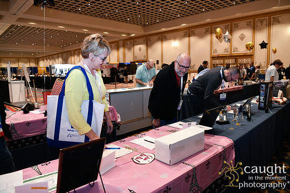 176 IAP Expo 2020-ARIEF Silent Auction