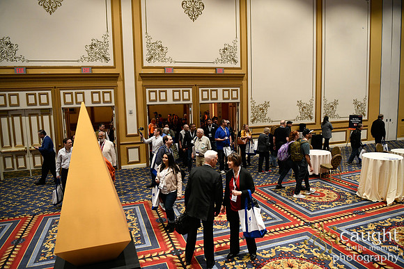 204 IAP Expo 2020-Exhibit Hall