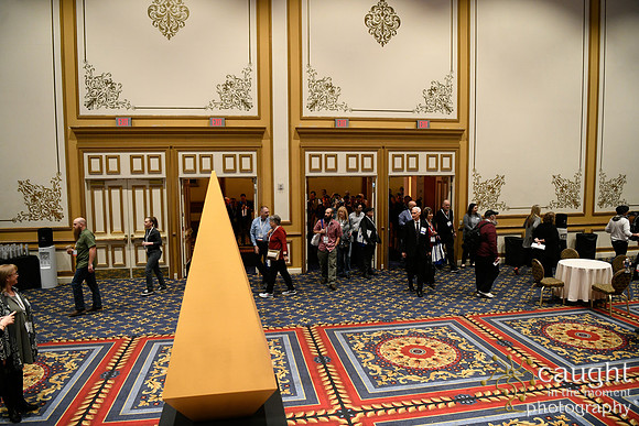 203 IAP Expo 2020-Exhibit Hall