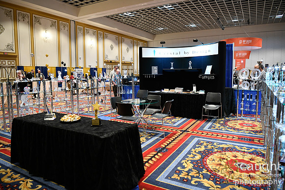 527 IAP Expo 2020-Exhibit Hall