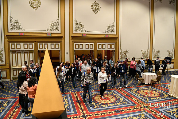 205 IAP Expo 2020-Exhibit Hall