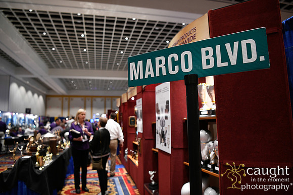 547 IAP Expo 2020-Exhibit Hall