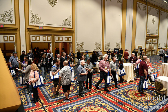213 IAP Expo 2020-Exhibit Hall
