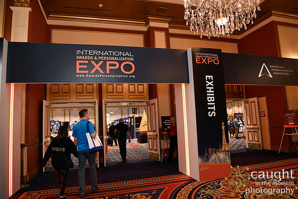 271 IAP Expo 2020-Exhibit Hall