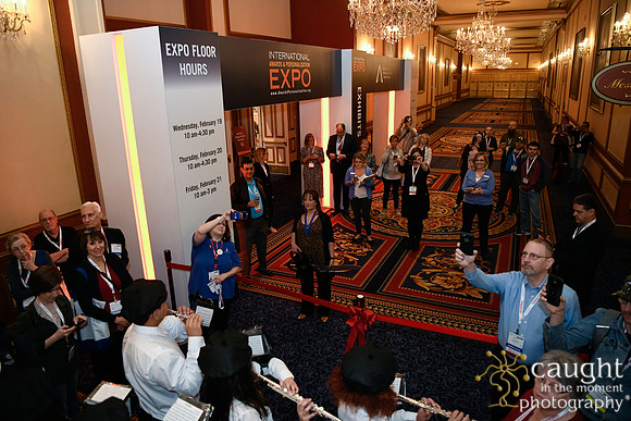 196 IAP Expo 2020-Exhibit Hall