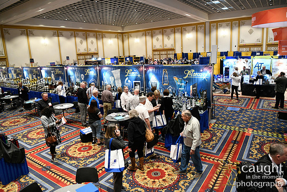 227 IAP Expo 2020-Exhibit Hall