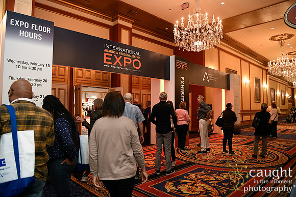 382 IAP Expo 2020-Exhibit Hall