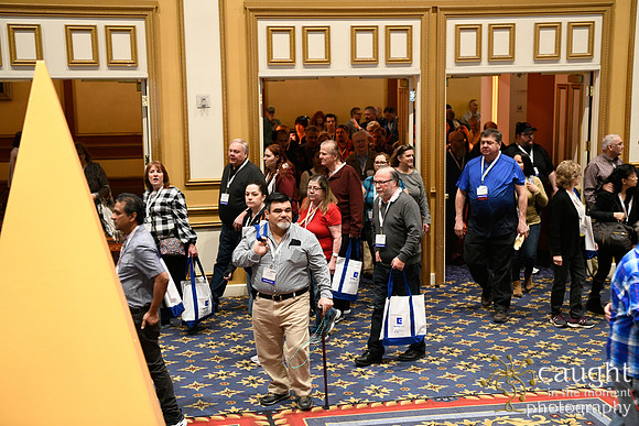 207 IAP Expo 2020-Exhibit Hall