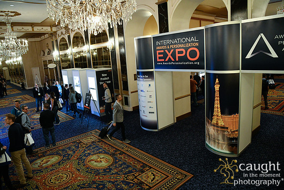 052 IAP Expo 2020-Registration & Common Areas