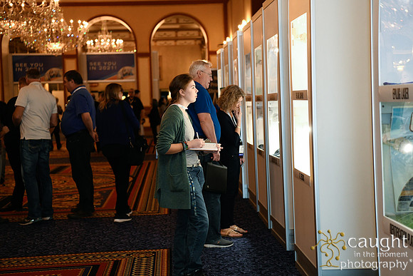 096 IAP Expo 2020-Registration & Common Areas