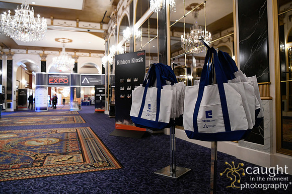042 IAP Expo 2020-Registration & Common Areas