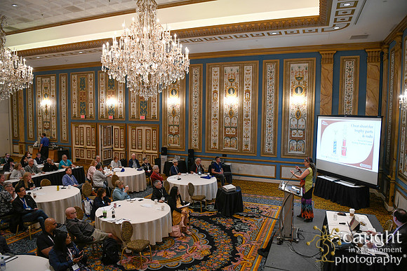 753 IAP Expo 2020-Education Sessions