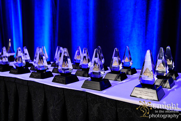 940 IAP Expo 2020-Awards Celebration