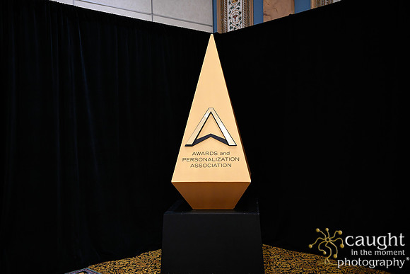 917 IAP Expo 2020-Awards Celebration