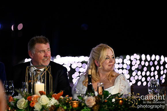 348 Brasche Packman Wedding at Long Beach Museum of Art