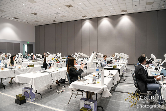 581 AAE 2024 in Los Angeles - Hand-On Sessions
