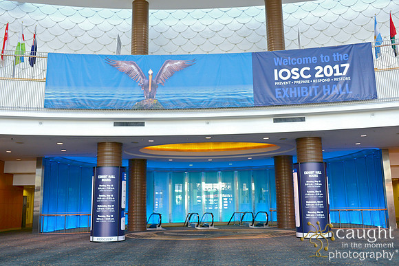 014 IOSC 2017 Long Beach