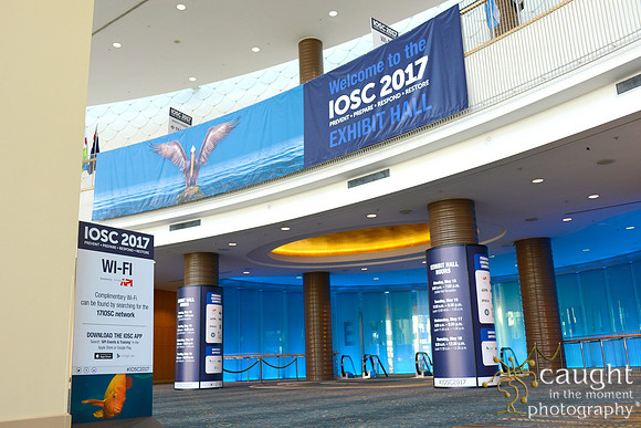 017 IOSC 2017 Long Beach