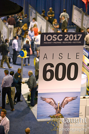 247 IOSC 2017 Long Beach