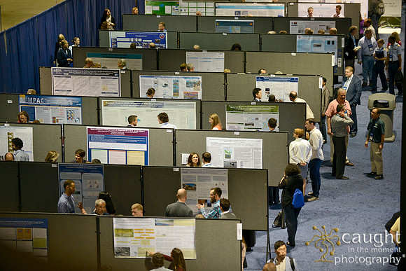 252 IOSC 2017 Long Beach