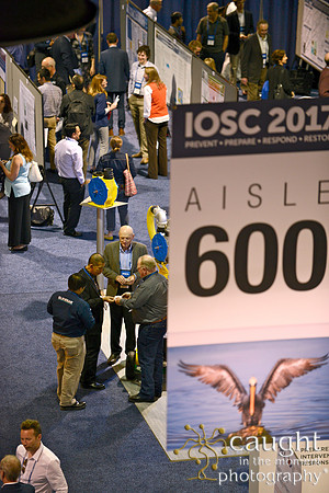 250 IOSC 2017 Long Beach