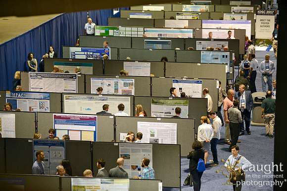 253 IOSC 2017 Long Beach