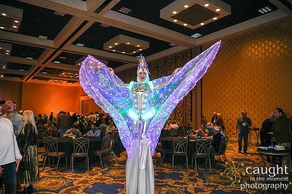 260 IrrigationShow2019 LasVegasConventionCenter