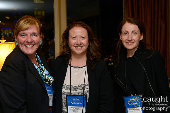 290 NACE Conference 2016 Chicago Hilton