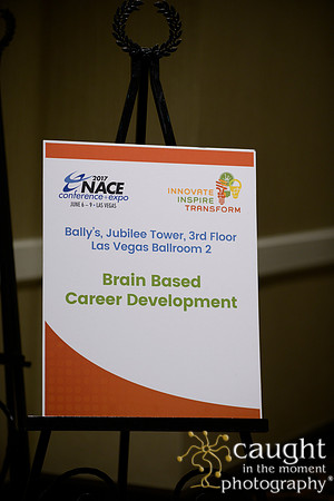 071 NACE 2017 Conference Las Vegas