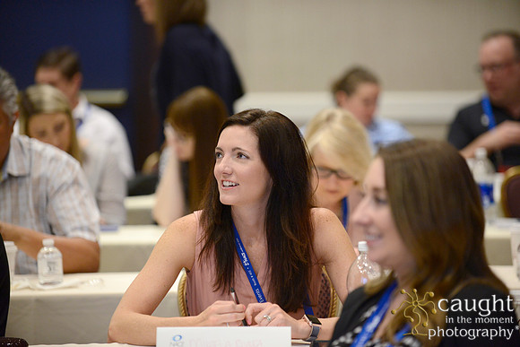 056 NACE 2017 Conference Las Vegas