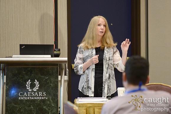 086 NACE 2017 Conference Las Vegas