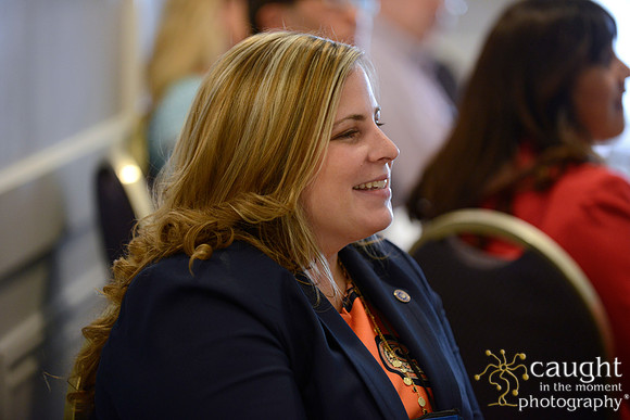520 NACE Conference 2016 Chicago Hilton