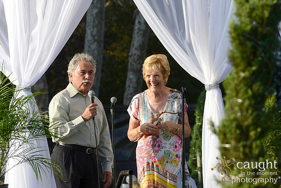 114 MTW Broadway in the Park 2014