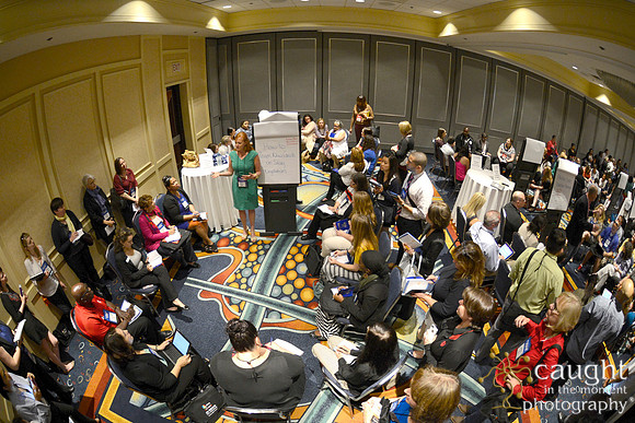 102 NACE 2015 Conference Anaheim