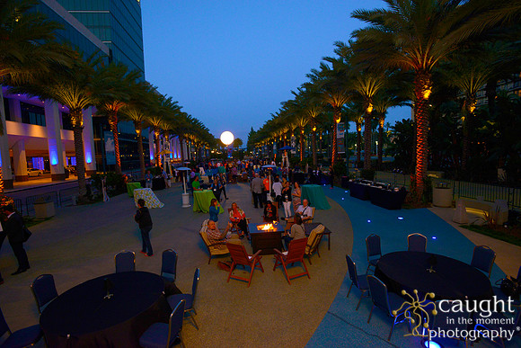 804 NACE 2015 Conference Anaheim
