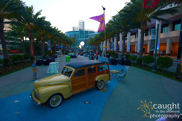 801 NACE 2015 Conference Anaheim