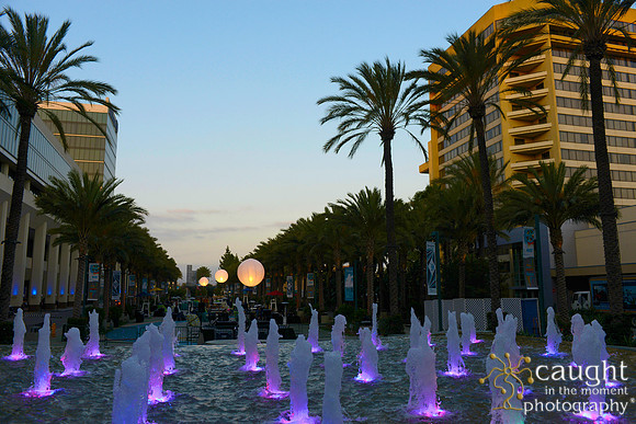 795 NACE 2015 Conference Anaheim