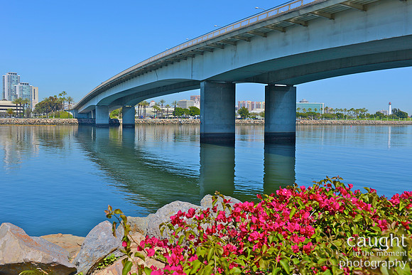 047 Long Beach Waterfront