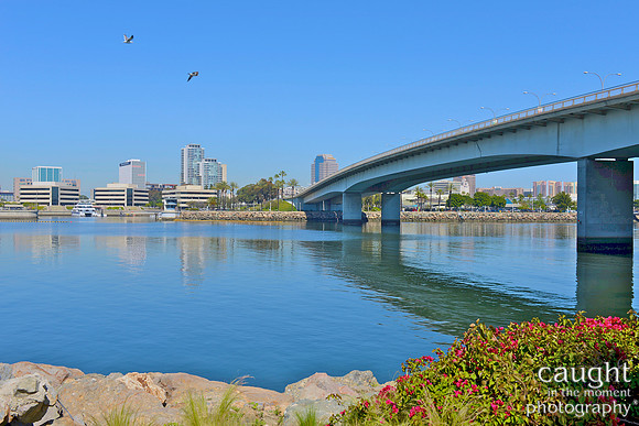 041 Long Beach Waterfront