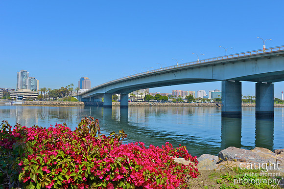 045 Long Beach Waterfront