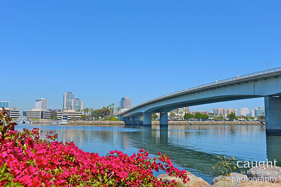 042 Long Beach Waterfront