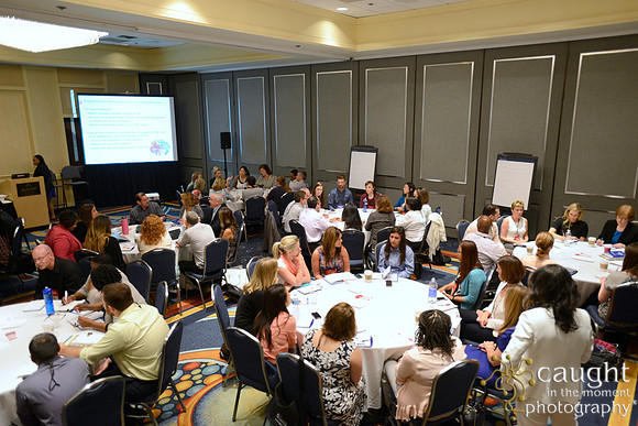 440 NACE 2015 Conference Anaheim