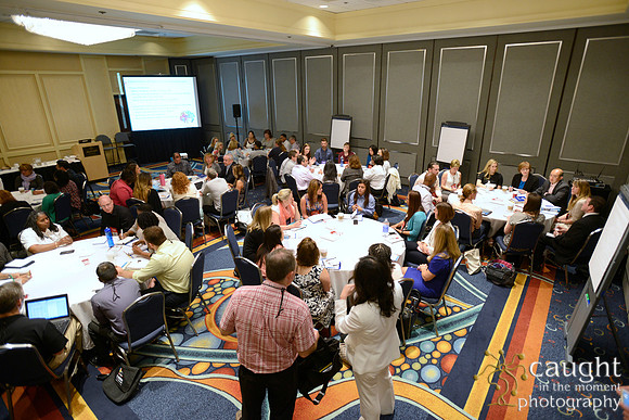 439 NACE 2015 Conference Anaheim