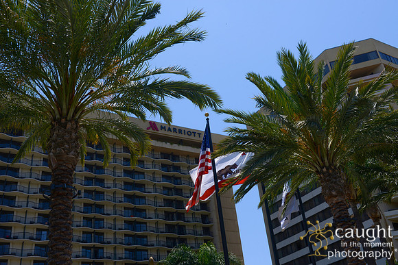 1 NACE 2015 Conference Anaheim