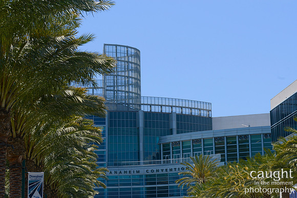 2 NACE 2015 Conference Anaheim