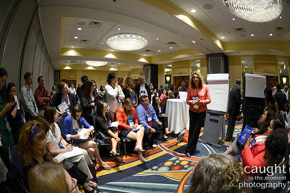 579 NACE 2015 Conference Anaheim