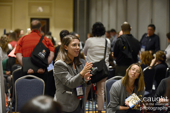 598 NACE 2015 Conference Anaheim