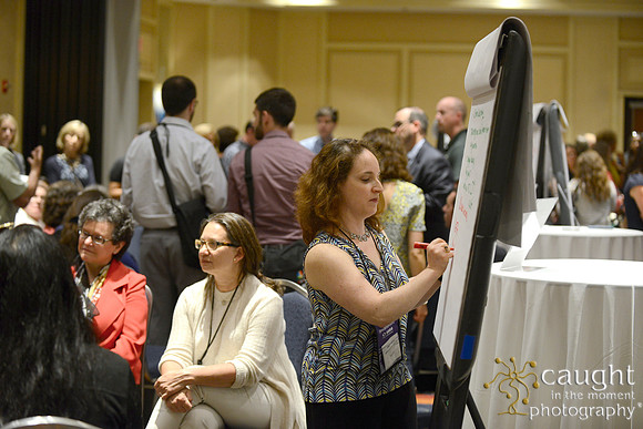 596 NACE 2015 Conference Anaheim