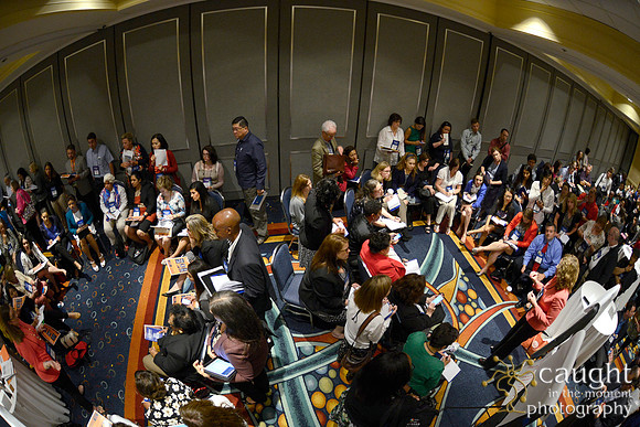 576 NACE 2015 Conference Anaheim
